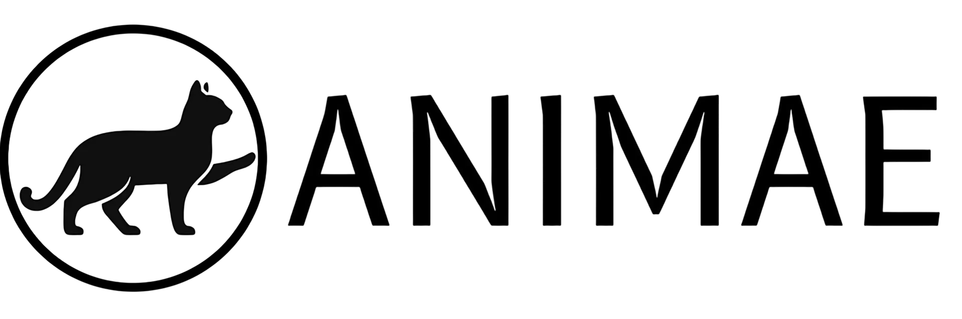 Animae Studio